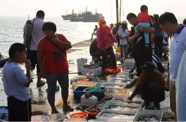 9月1日开海 盘点坐公交就能尝到的地道海货