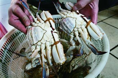 春节临近海鲜价格生猛 螃蟹身价暴涨两倍