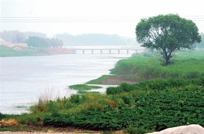 青岛5条河流水质划红线 超标问题将挂牌督办