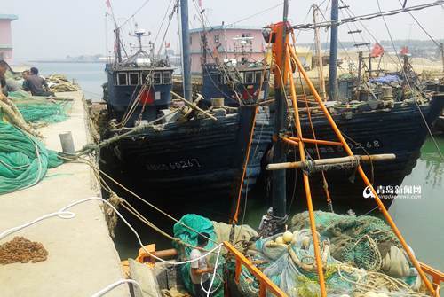 青岛禁渔1个月查获37艘偷渔船 罚款10.5万元
