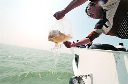 1.6亿对虾梭子蟹苗等将放流大海 3个月后回捕