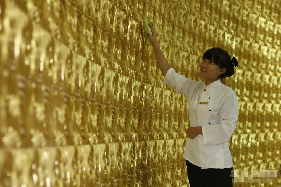 高清:盘点中国各式土豪建筑 河豚塔申报吉尼斯