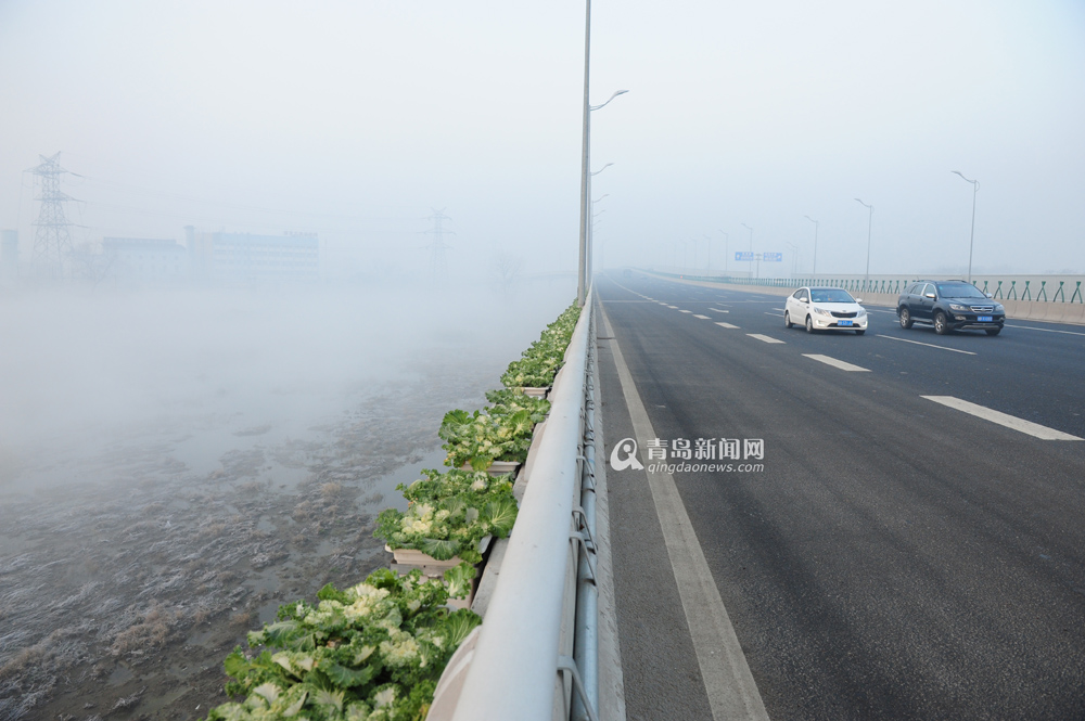 雾霾笼罩青岛