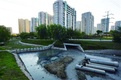 景观河变成臭水河 市民称家里都能闻到味