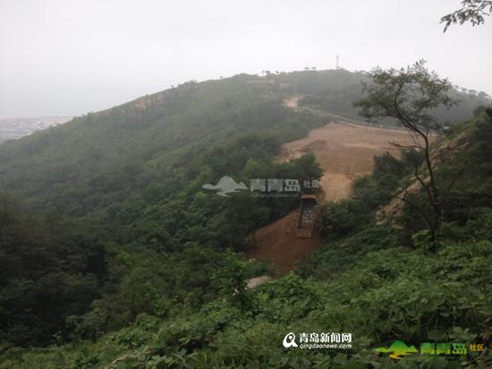 网曝浮山毁林建运动场 建委:完工后将修复