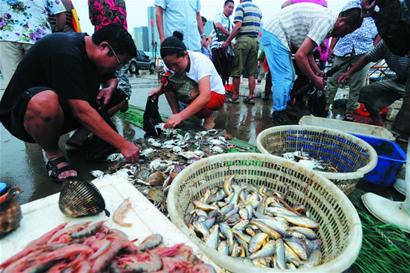 开海首日市民码头抢购 10分钟抢光一筐海鲜