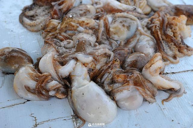 春捕季海货馋人 细数市场上人气海鲜王
