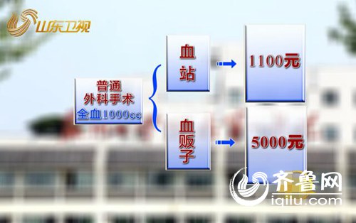 血贩子的报价，常常是血液中心的四五倍之高。