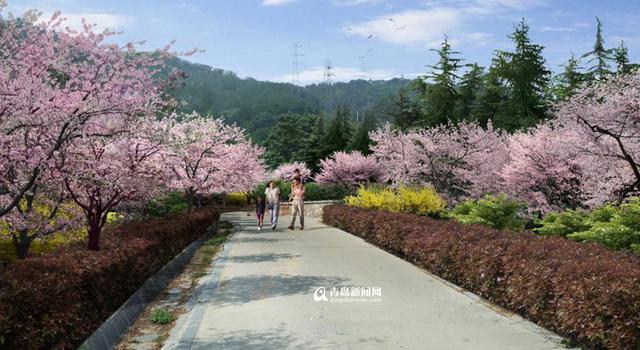 浮山生态公园年底前建成